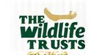 Wildlife Trusts Logo